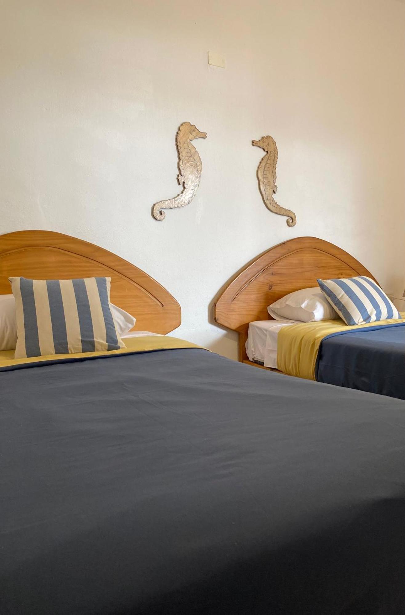 Ravenala Paracas Hostel Extérieur photo